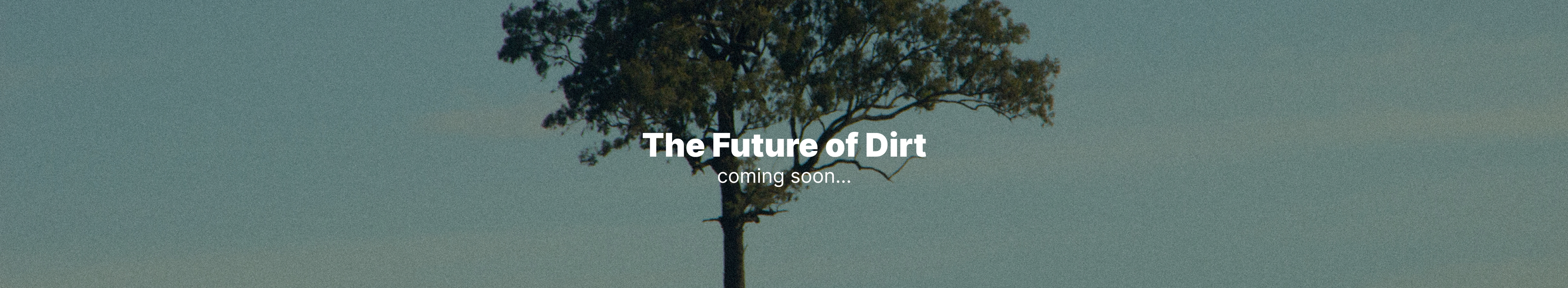 The Future of Dirt Article